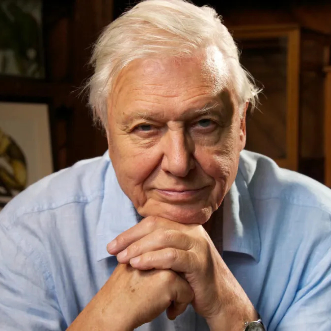 The Music Behind David Attenborough’s Adventures